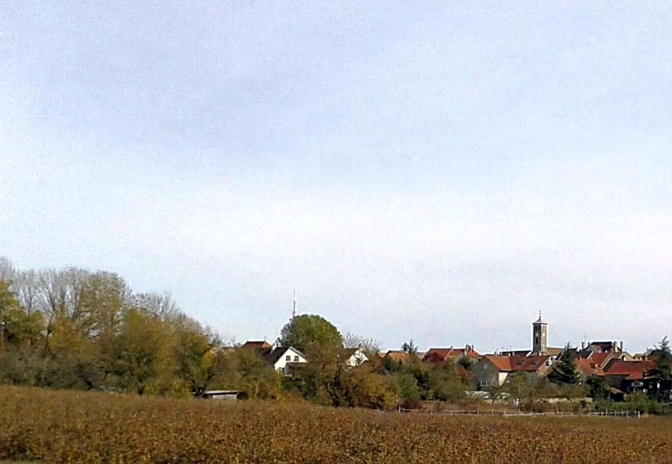 10 Côté Cour