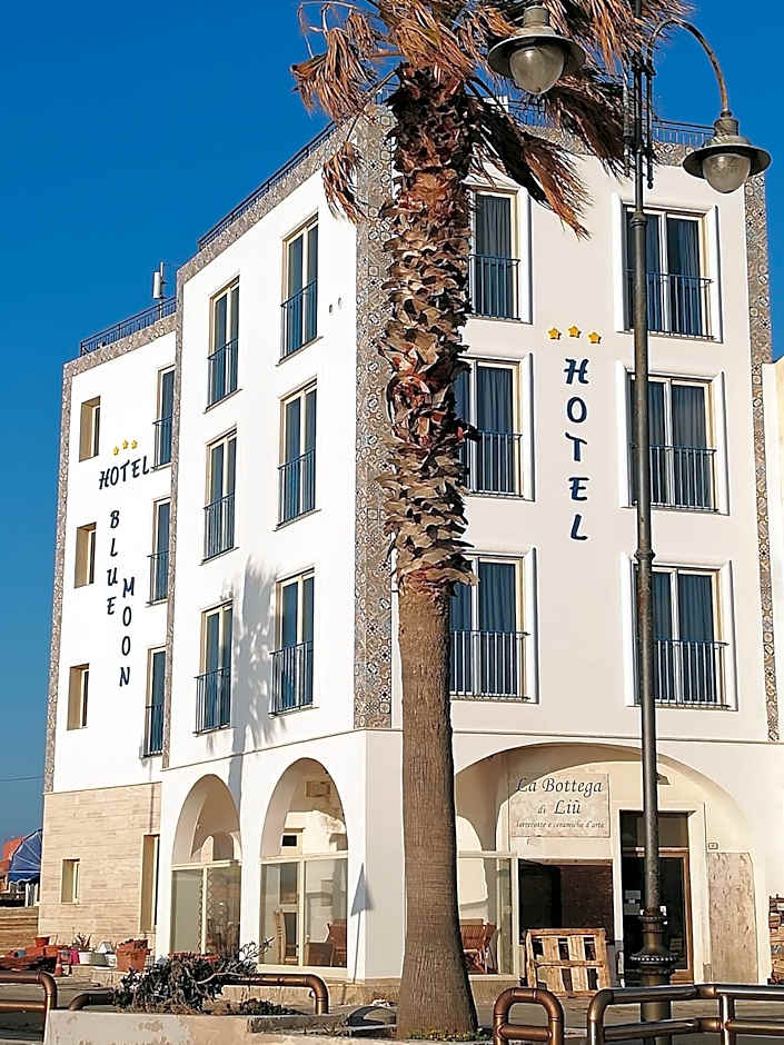 Blue Moon Hotel