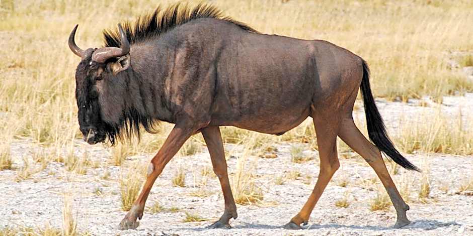 Cradle Boutique Hotel