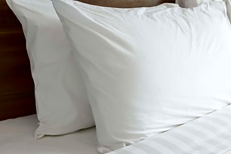 Premium Two Queen Beds