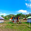Beach Camp Lombok