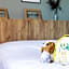 greet Hotel Castres Saix