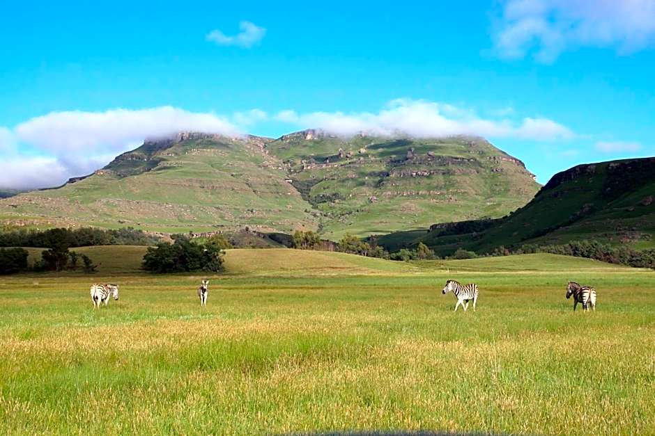 Sani Valley Nature Lodges