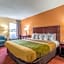 Econo Lodge Rocky Top