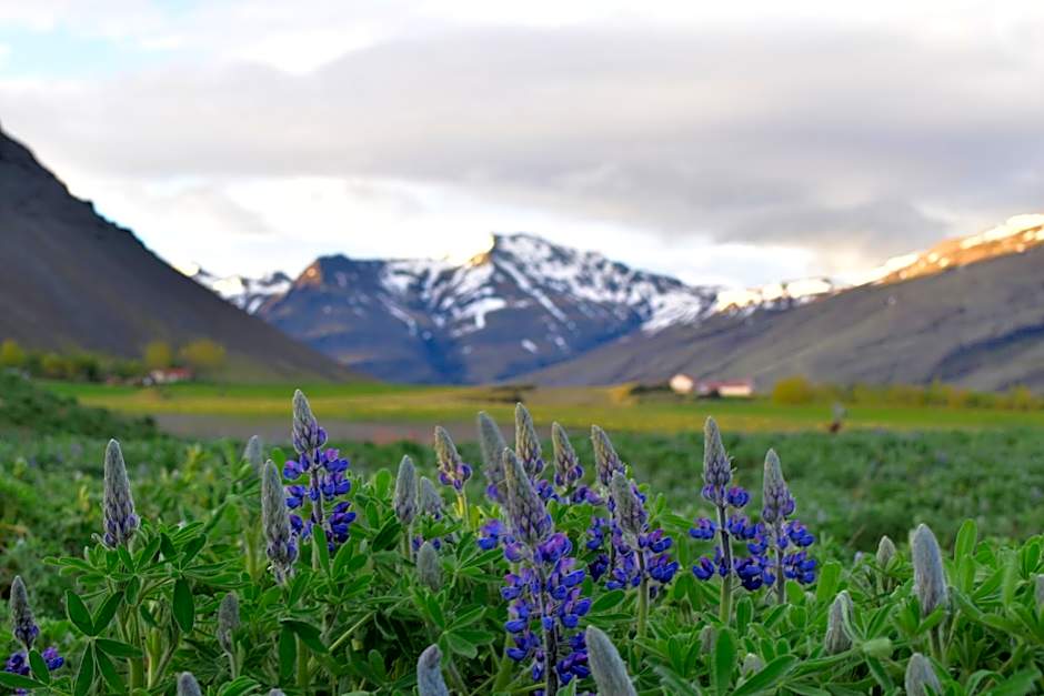 Glacier World - Hoffell Guesthouse