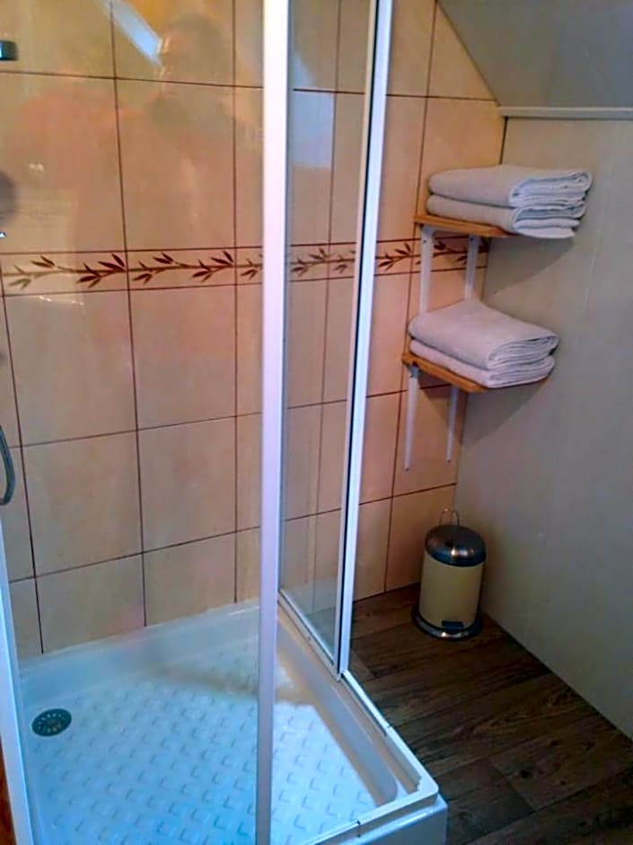 Le chant des oiseaux