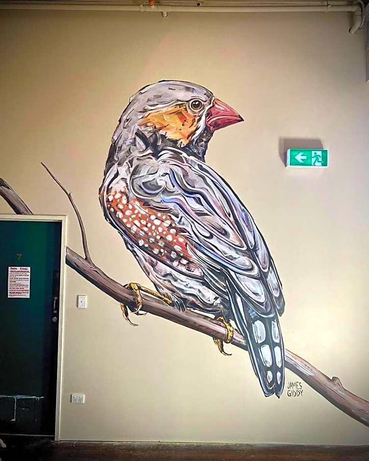 Sundancer Backpackers Hostel