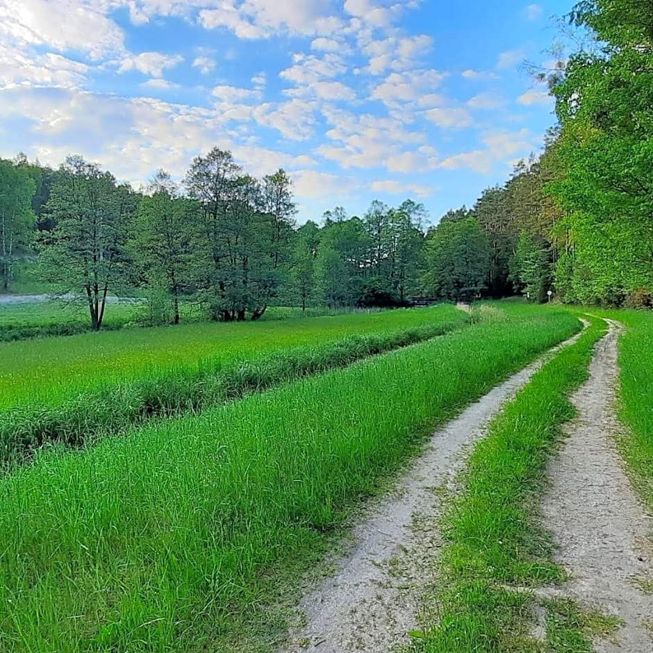 Hubertówka Czapiewice
