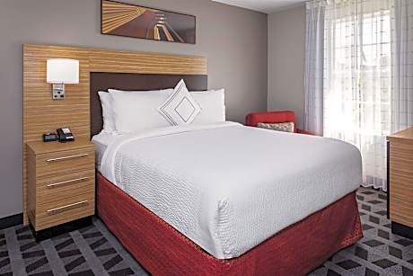 Studio, 1 Queen Bed with Sofa bed (1 Queen Bed and 1 Double Sofa Bed)