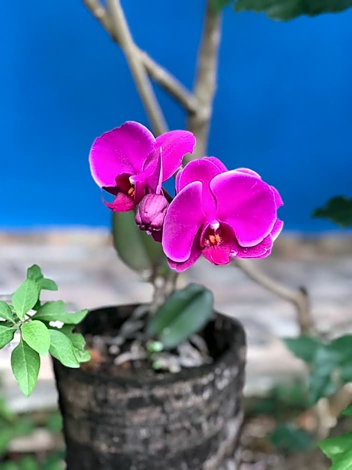 Pousada Casa do Cerrado - Alto Paraíso de Goiás