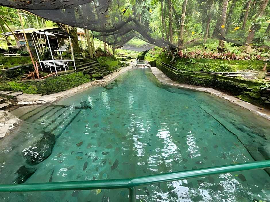 Happy Coconut Camiguin