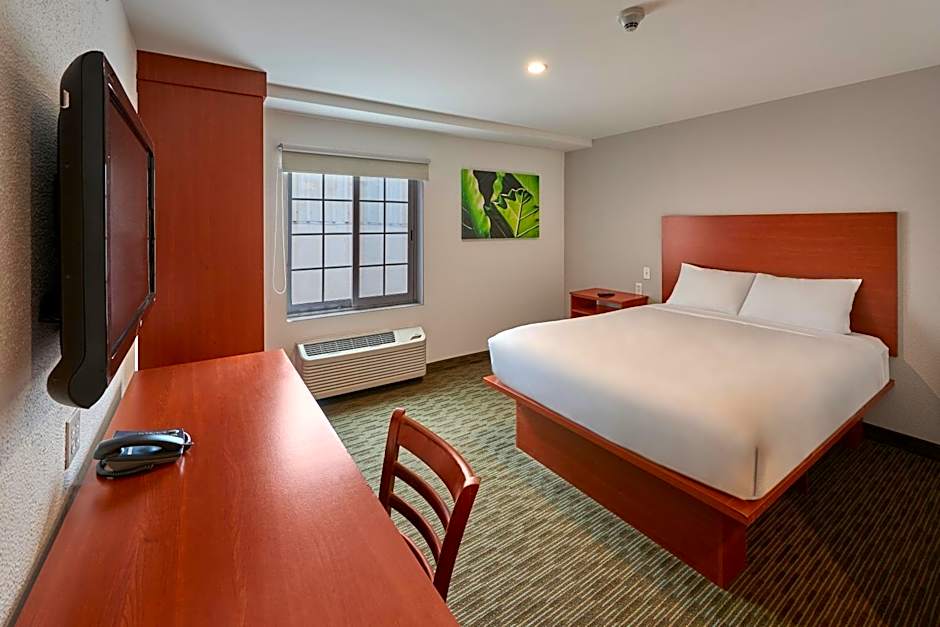 Photo 1 of 4 of 1 Queen Bed Suite