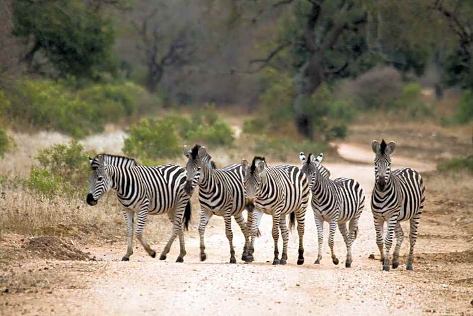 Vuyani Safari Lodge