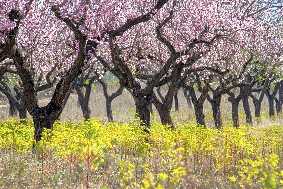 Villa Foia Vella - adults only