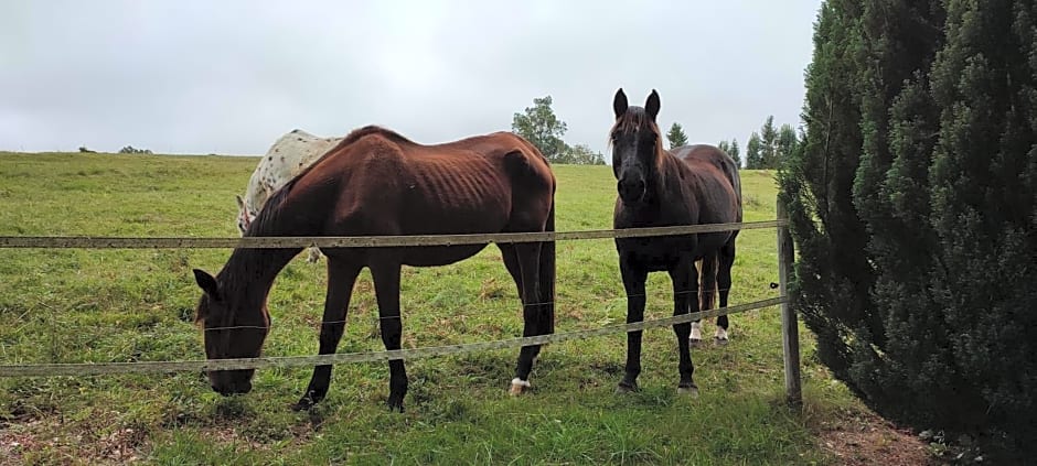 Domaine Le Lanis Chambre d'hôtes avec spa sur réservation