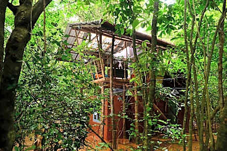 Cozy Tree House