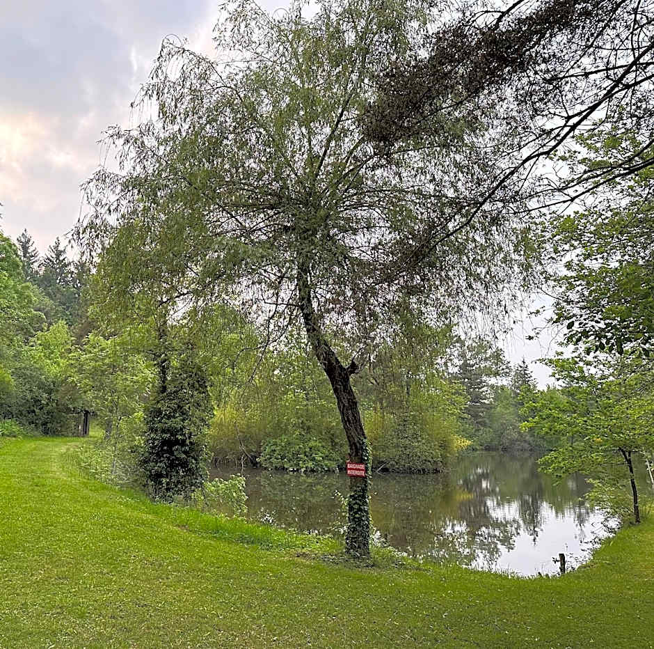 Du côté de chez Sam