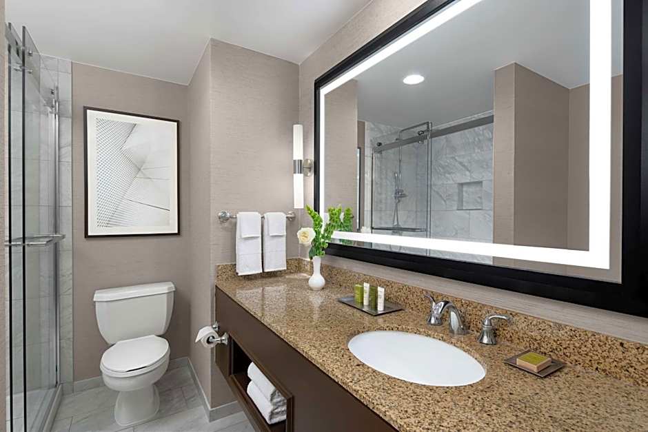 Hilton Indianapolis Hotel & Suites