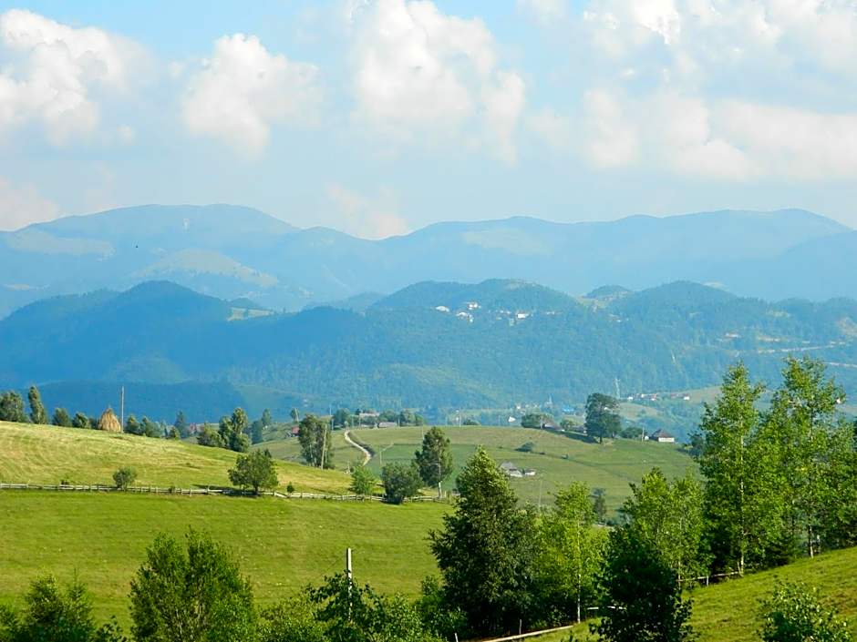 Nobillis - Carpathian Residence