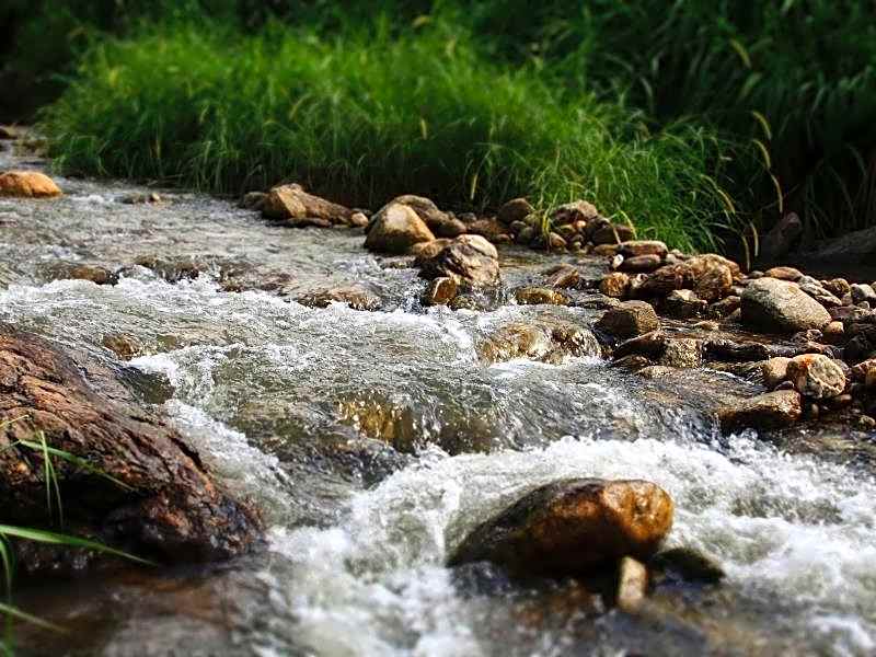 Kowit Maechaem Farmstay