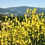 Il borgo Casteldelci