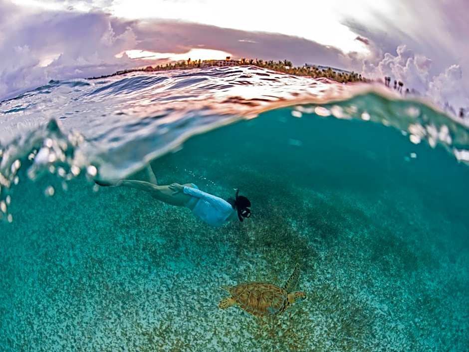 Secrets Akumal Riviera Maya - Adults Only-All Inclusive