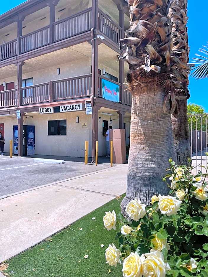 Palms Inn & Suites