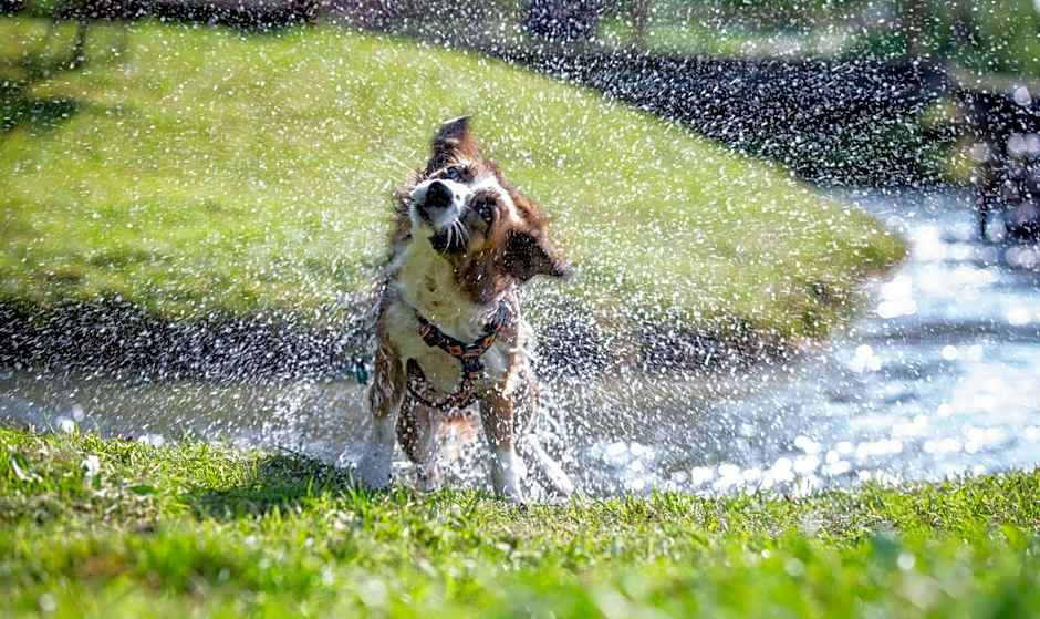 Almfrieden Hotel & Romantikchalet