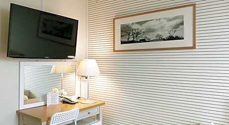 Basic Triple Room