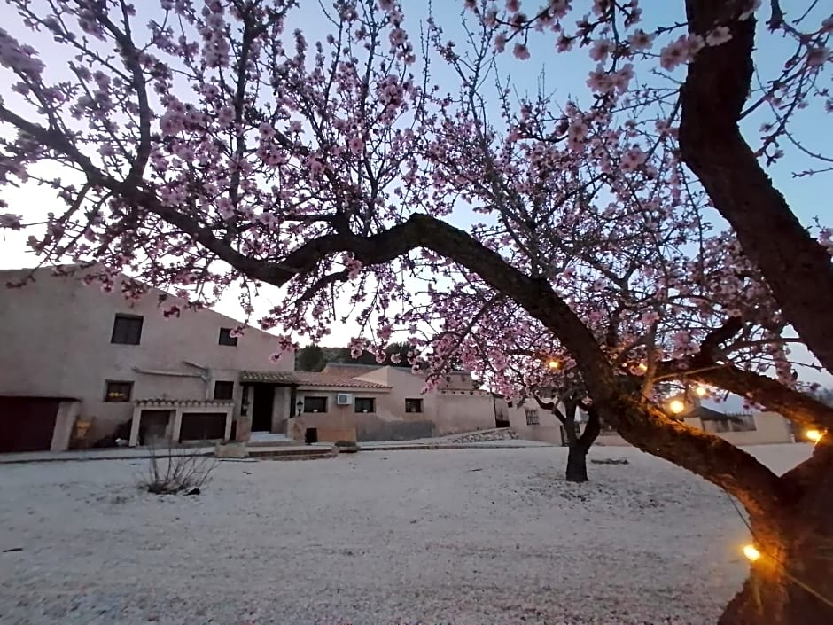 Finca Guillermo Murcia