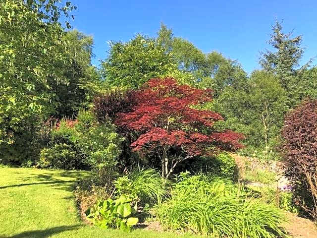 Hillside Log cabin, Ardoch Lodge, Strathyre