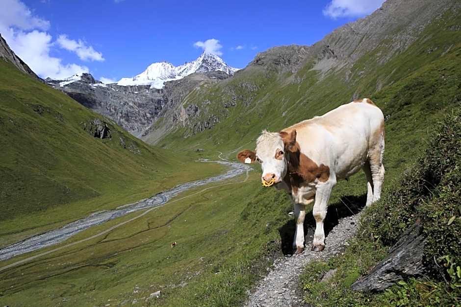 Wanderhotel Taurerwirt