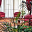 HOTEL PARADISO