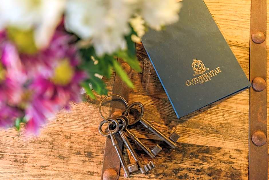 Cotommatae Hydra 1810