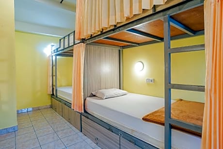 Bed in 8-Bed Dormitory Room