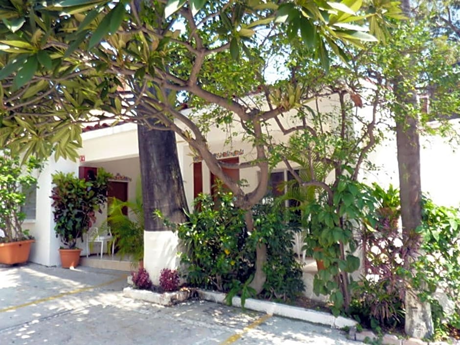 Hotel Bajo el Volcan
