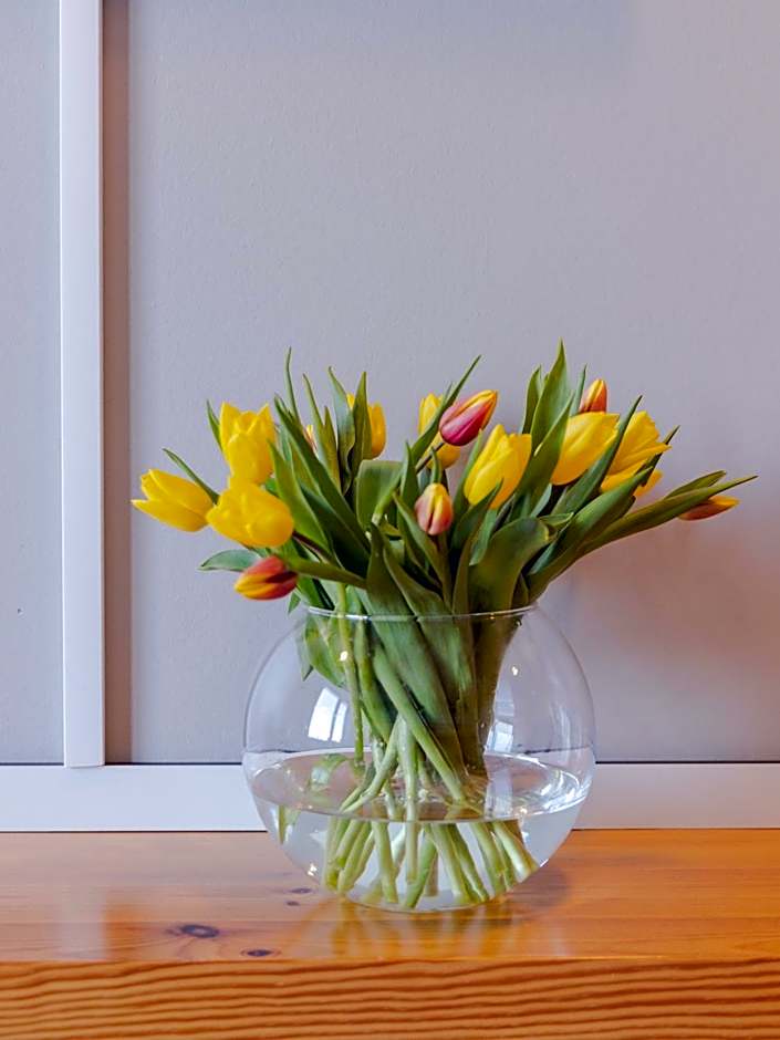 Hotel Garni - Haus 54