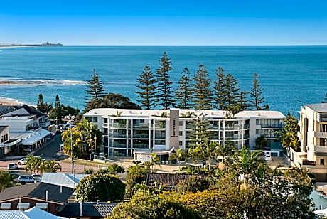The Norfolks on Moffat Beach