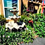 El Royale Hotel - Near Universal Studios Hollywood