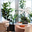 Hôtel Parisianer