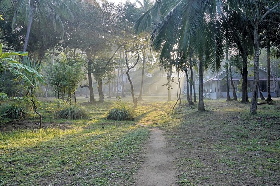 Athena Lake by Seedevi