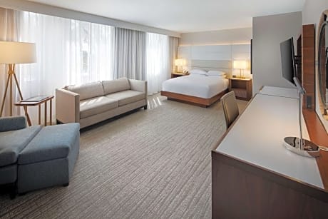 1 King Bed Junior Suite