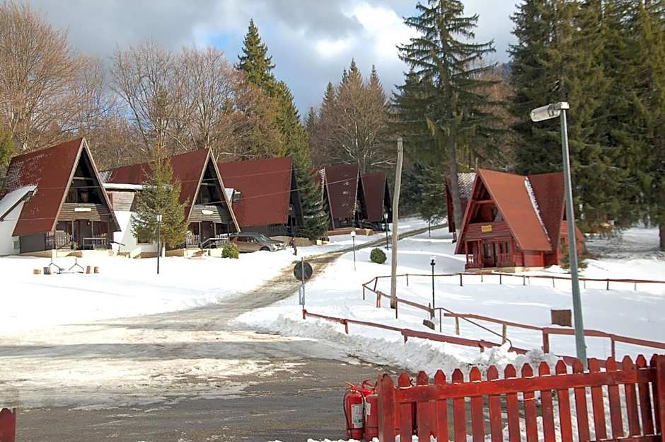 Centrul de Echitatie Poiana Brasov