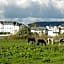 Rheinhotel Larus