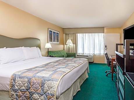 1 King Bed Pet Friendly Room