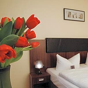 City Hotel Mercator