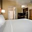 TownePlace Suites by Marriott Houston Galleria Area