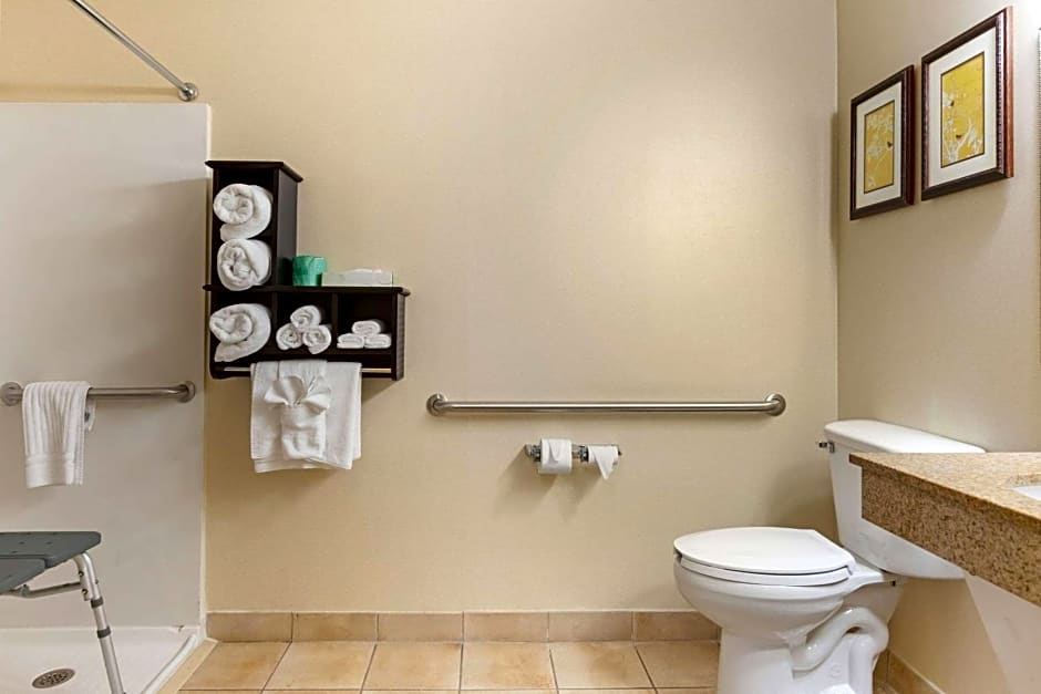 Comfort Suites Southfield