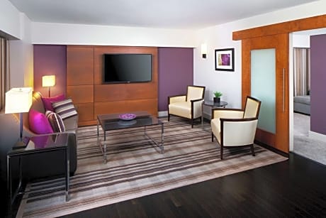 1 King 2 Room Suite