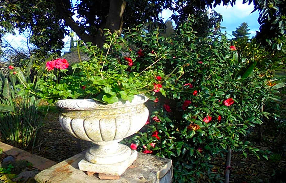Baglio Delle Rose